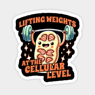 Lifting weights at the Cellular Level Biology Student Design Magnet