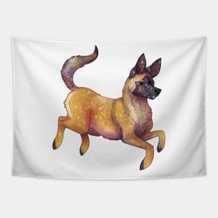 Cozy Belgian Malinois Tapestry