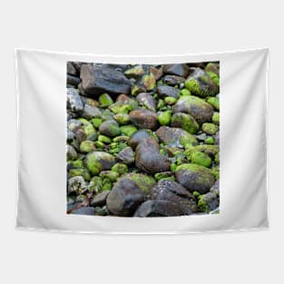 Sea-side Boulders Tapestry