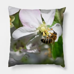 Honey bee on Flower Pillow