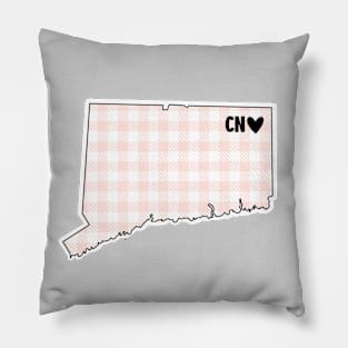 USA States: Connecticut (pink plaid) Pillow