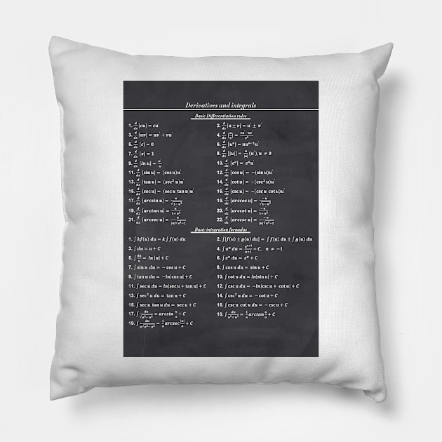 Derivatives And Integrals Pillow by ScienceCorner