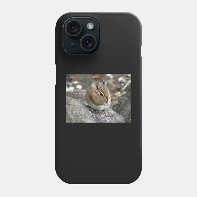 Chipmunk Phone Case by SDym Photography