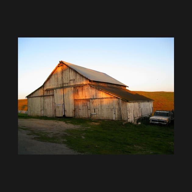 "Old Buddies". A Barn and a Ford Truck on Historic "B" Farm, Point Reyes, California by IgorPozdnyakov