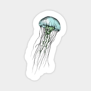 Jellyfish Print Magnet