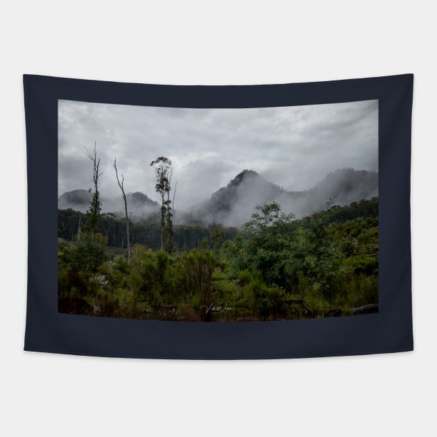 Cathedral Range, Taggerty, Victoria, Australia. Tapestry by VickiWalsh