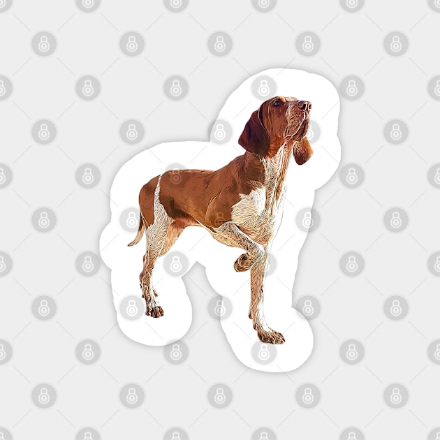 Bracco Italiano Magnet by ElegantCat