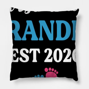 Promoted to Grandpa Est 2020 Pillow