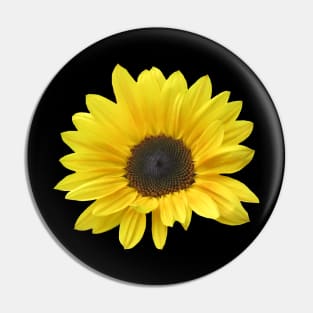 sunflower, sunflowers, bloom, floral Pin