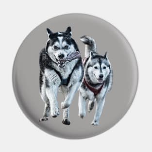 Siberian Huskies Pin