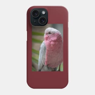 Galah Phone Case