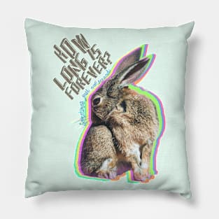 How long is forever? -Sometimes, just one second. Pillow