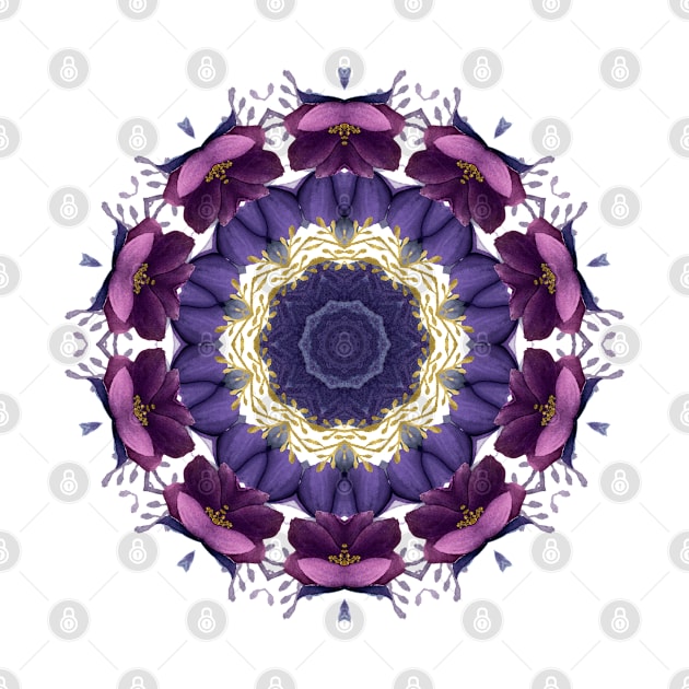 Purple Hellebore Flower Mandala #2 by machare