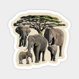 Elephant Mamas with Babies in Africa Magnet