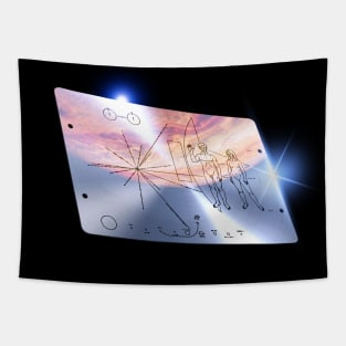 Pioneer 10 metal plaque, 3D Tapestry