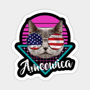 Ameowica Cat Sunglasses triangle Transparant Magnet