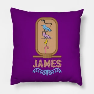 JAMES-American names in hieroglyphic letters-James, name in a Pharaonic Khartouch-Hieroglyphic pharaonic names Pillow