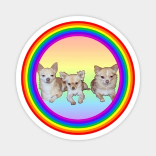 Chihuahua Brothers Magnet