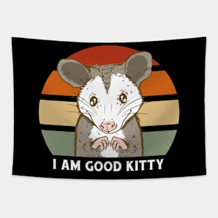 Im A Good Kitty Cute Opossum Tapestry