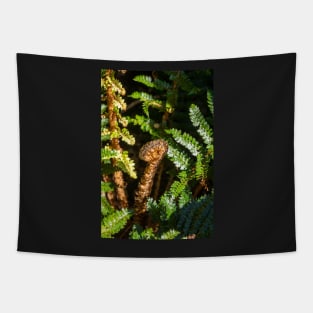 Koru Tapestry