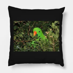 Hiding Out - Male Eclectus Parrot #2 Pillow