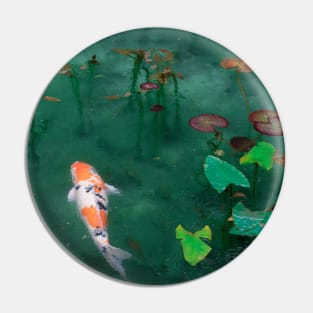 KOI FISH IN A SHINTO SHRINE POND Pin