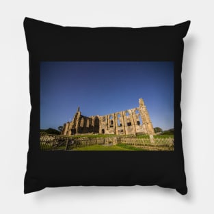 Bolton Abbey at Night IMG 5573 Pillow