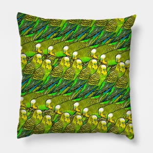 Budgie Wave Funny Pattern Pillow