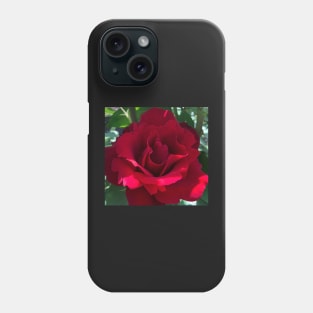 Red Rose Revolution of Love Phone Case