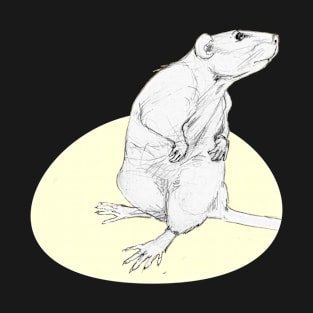 A cute rat - pencil drawing T-Shirt