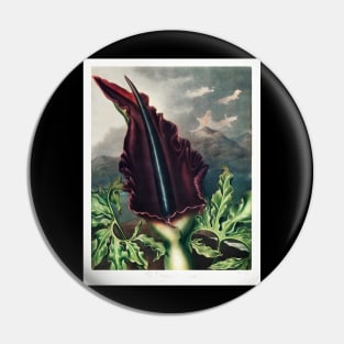 The Dragon Arum Pin