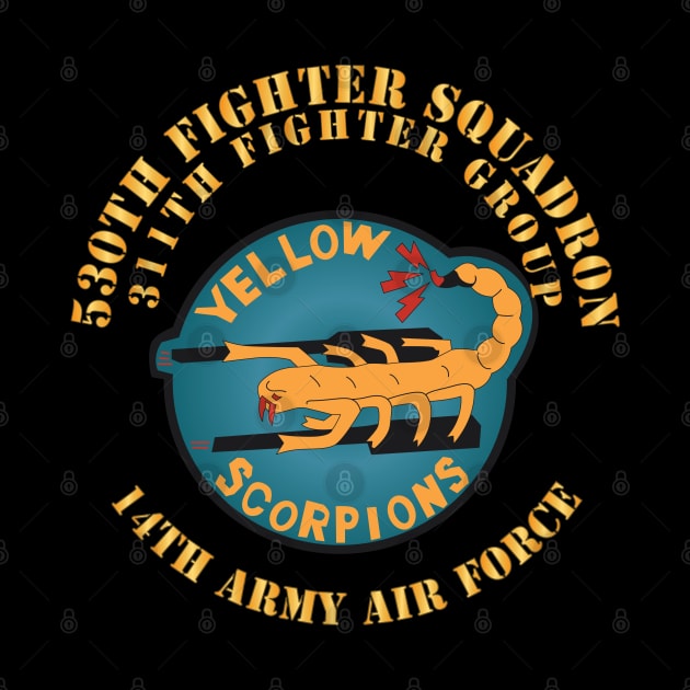 530th Fighter Squadron 311th Fighter Group 14th Army Air Force X 300 by twix123844