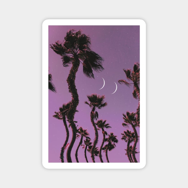 Palm Vibes Magnet by Cajuca