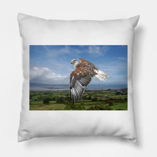 The Red-tailed Hawk over Dungarvin Bay Pillow