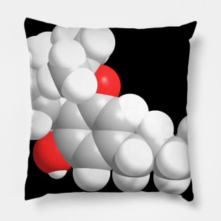 THC Molecule Chemistry Pillow