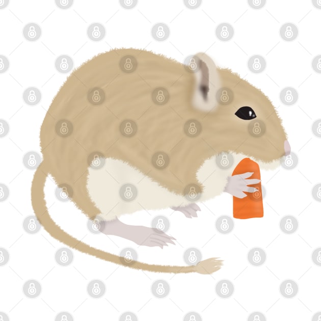 Cute golden gerbil eating carrot by Becky-Marie