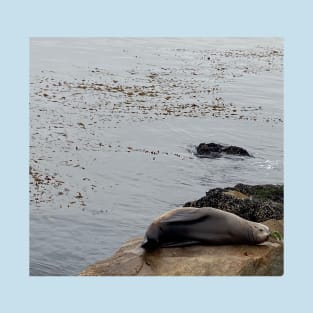 Sea Lion "Just a Sea Puppy" T-Shirt