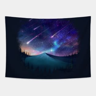 Falling Star Tapestry