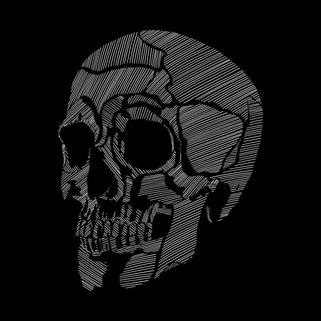 Lines of a Skull by JobbaWorksOfficial