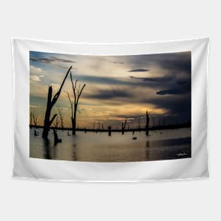 Lake Mulwala, Yarrawonga, Victoria, Australia. Tapestry