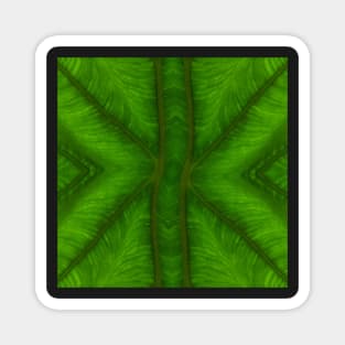 Banana leaf kaleidoscopic patterns. ONE Magnet