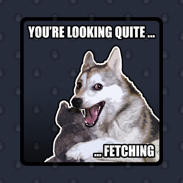 You're Looking Quite Fetching! Meme Dog Cheeky/Flirty by DankFutura