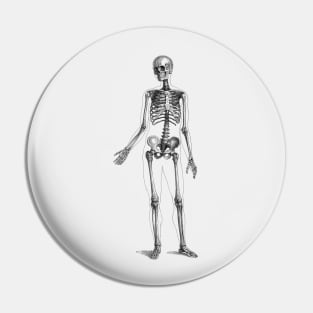 Full Body Skeleton - Vintage Anatomy Pin