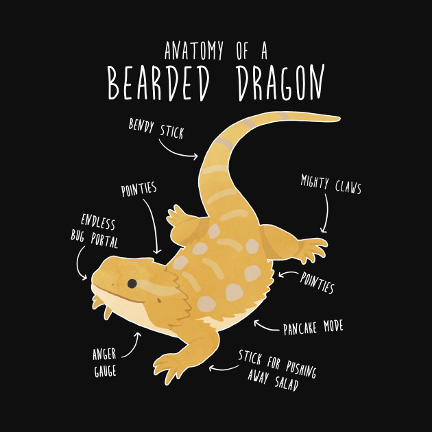 Anatomy of a Bearded Dragon - Dragon - Phone Case