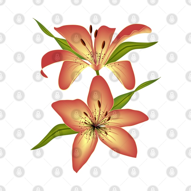 Orange Lily by Designoholic