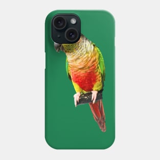 Conure Parrot Bird design | Green cheek | Love for birds Phone Case