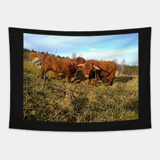 Scottish Highland Cattle Cow and Bull 1004 Tapestry