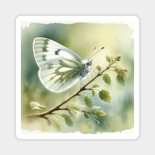 Cryptic Wood White - Watercolor Butterfly Magnet