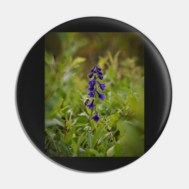 Sierra Larkspur Pin by jonesing