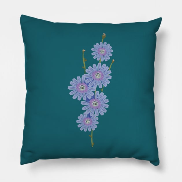 Chicory a bouquet of blue flowers Pillow by Catdog